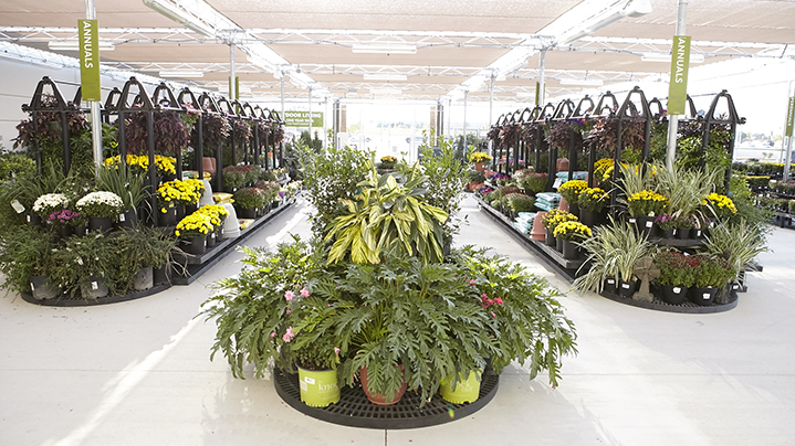 Ft Hood GO 534 1 Green plants in Fort Hood's outdoor living department on grand opening day.