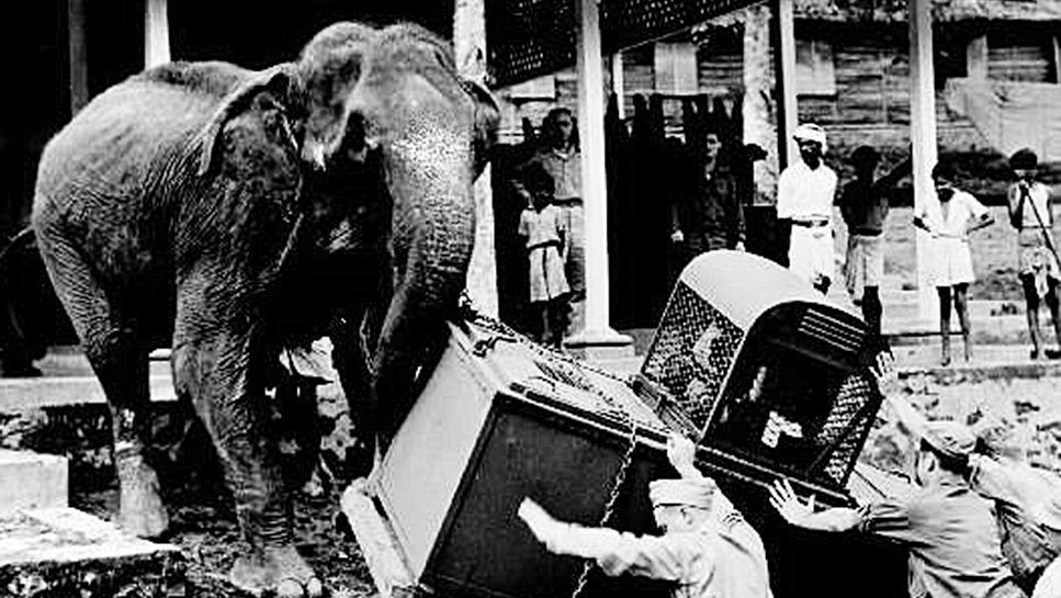 072720_Exchange_History_ElephantFEATURE 072720_Exchange_History_ElephantFEATURE